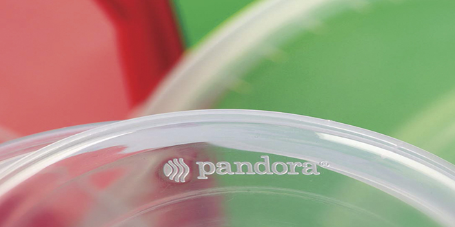 Pandora Plastik Faaliyetlerine Devam Ediyor…