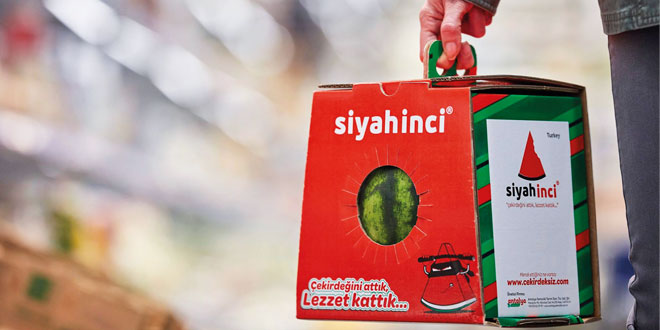 Mondi’nin Karpuzun Rüyası (Watermelon'sDream) Projesi ile Karpuzlar Marketten Eve Daha Kolay Taşınabilecek...