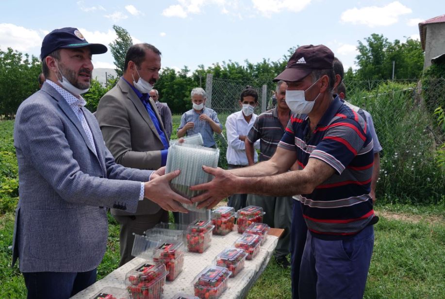 Çilek Üreticilerine Ambalaj Desteği