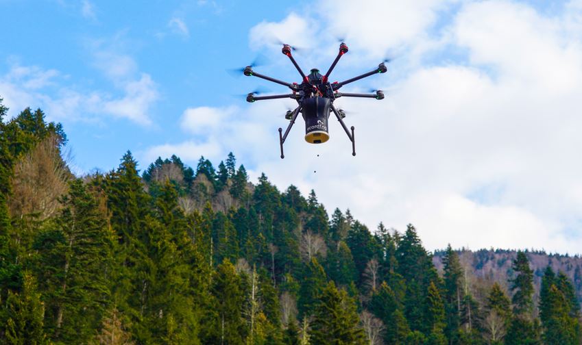 Alpla ve Ecording İş Birliğiyle 100 Bin Tohum Topu, Toprakla Buluşmaya Devam Ediyor