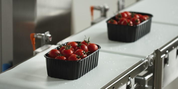 Esit Hexaline Bantlı Kontrol Kantarı