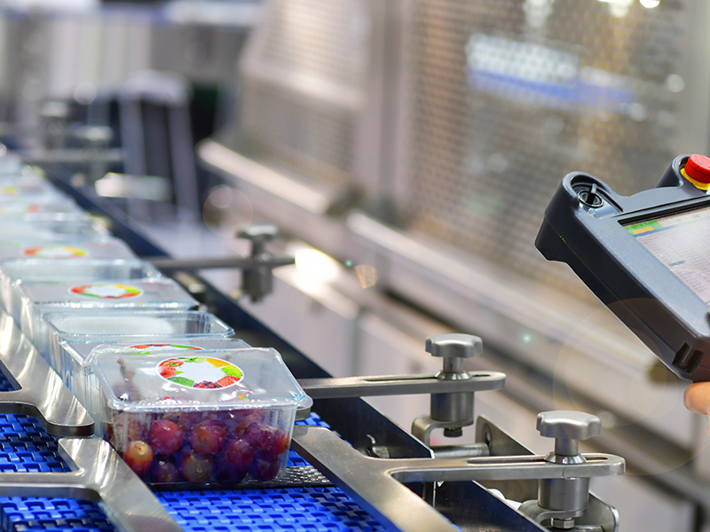 Küresel gıda ticaretine açılan kapı: Foodist